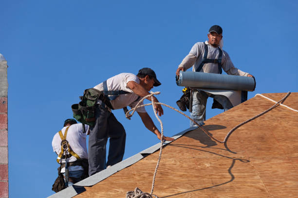 Best Storm Damage Roof Repair  in Apopka, FL
